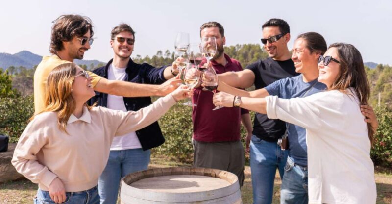 Barcelona: Montserrat, Winery Tour & Lunch with Wine Tasting - What the Tour Includes and How It Works