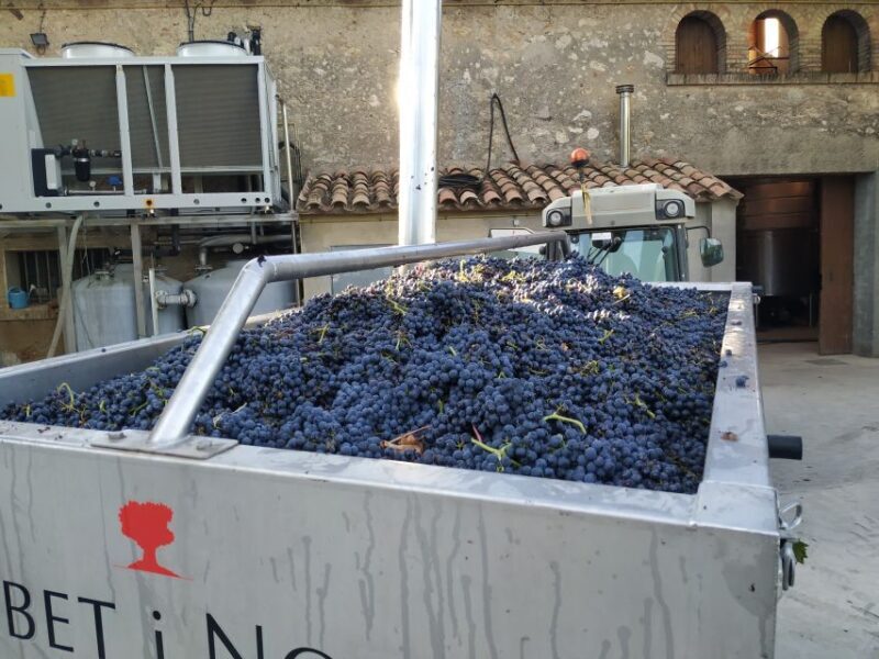 Barcelona: Montserrtat Hike and Winery Tour with Tasting - Practical Details and What You Need to Know