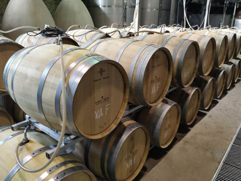 Barcelona: Montserrtat Hike and Winery Tour with Tasting - What Past Travelers Say