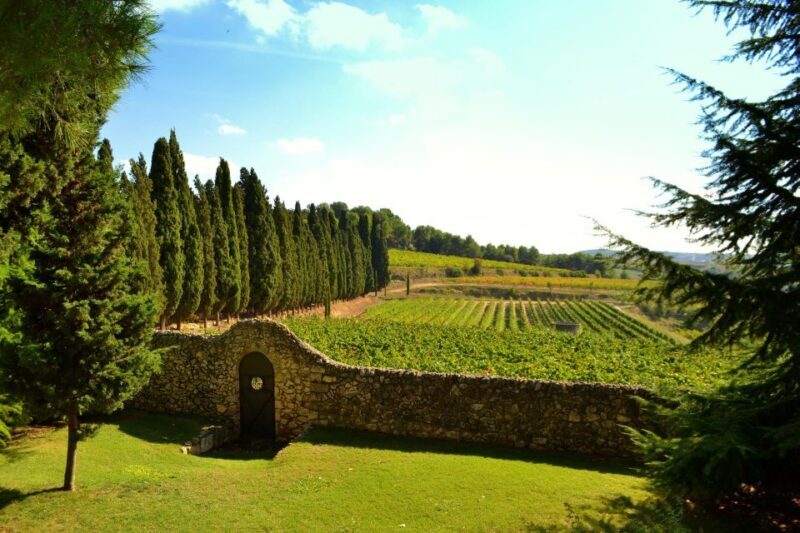Barcelona: Montserrtat Hike and Winery Tour with Tasting - Who Is This Tour Best For?
