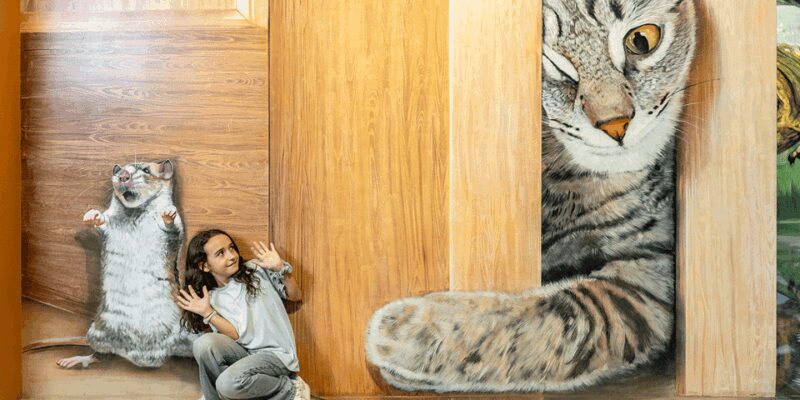 Barcelona: Museum of Illusions Interactive & Fun Experience - Key Points