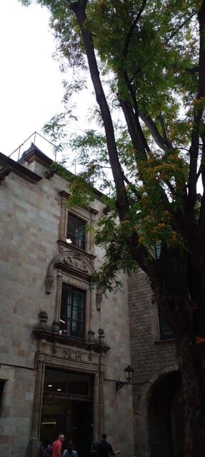Barcelona: Mystical Walking Tour in the Gothic Quarter - Practical Tips for Your Visit