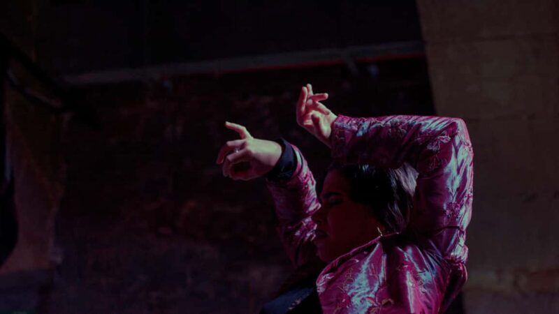 Barcelona: Old Town Artistic Tour & Flamenco Show - Who Is This Tour Best For?