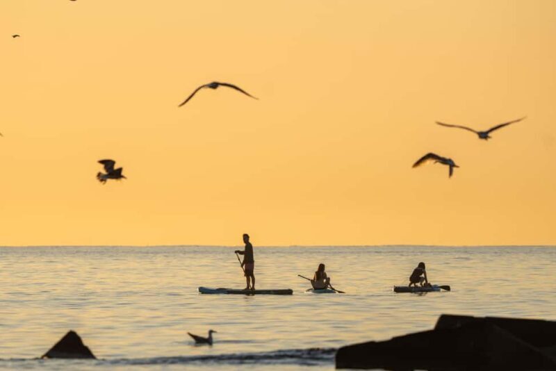 Barcelona: Paddlesurf Rental Barceloneta beach (75min) - Key Points