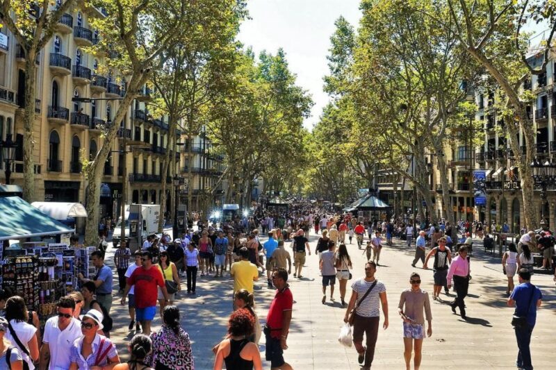 Barcelona & Park Güell: Private Half-Day Tour with Pickup - Is It Worth It?