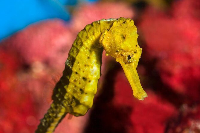 Barcelona Pass: Save up to 50% - Includes Sagrada Familia - How the Pass Works and What You Get