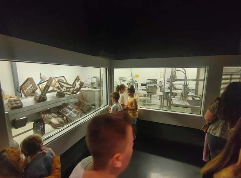 Barcelona-Penedès: Chocolate Experience at Espai Xocolata Simón Coll - Who Will Enjoy This Tour?