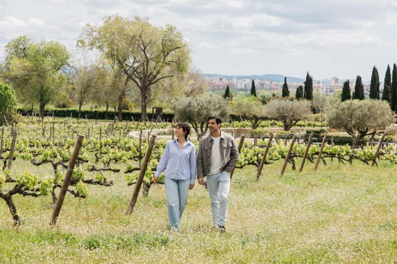 Barcelona-Penedès: Familia Torres wine & tapas winery tour - From Real Reviews to Expectations