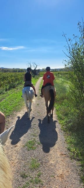 Barcelona: Penedès Vineyard Horseback Ride with Wine Tasting - Introduction: Is This the Experience for You?