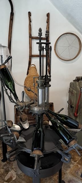 Barcelona: Penedès Vineyard Horseback Ride with Wine Tasting - What the Experience Feels Like