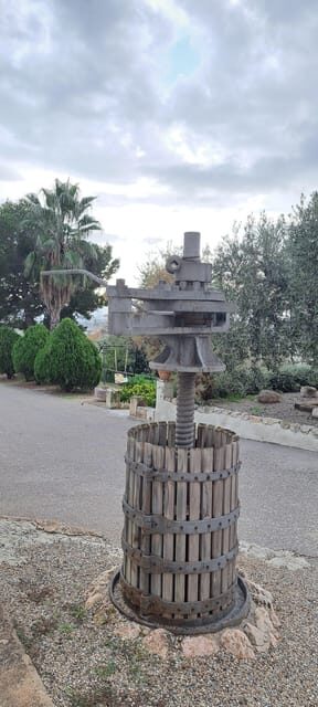 Barcelona: Penedès Vineyard Horseback Ride with Wine Tasting - The Price and Its Value