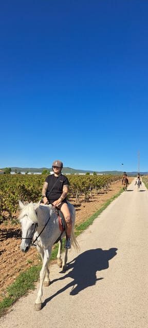 Barcelona: Penedès Vineyard Horseback Ride with Wine Tasting - Final Thoughts: Is It Worth It?