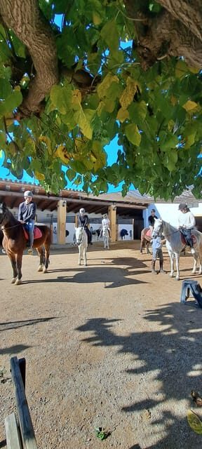 Barcelona: Penedès Vineyard Horseback Ride with Wine Tasting - FAQ