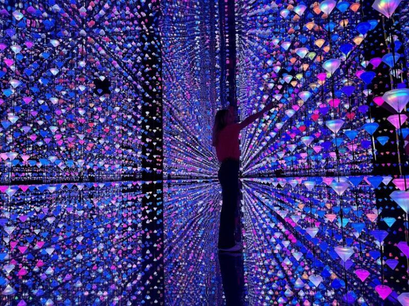 Barcelona: Picasso Museum Tour with Moco Museum Ticket - Practical Tips for Making the Most of the Tour