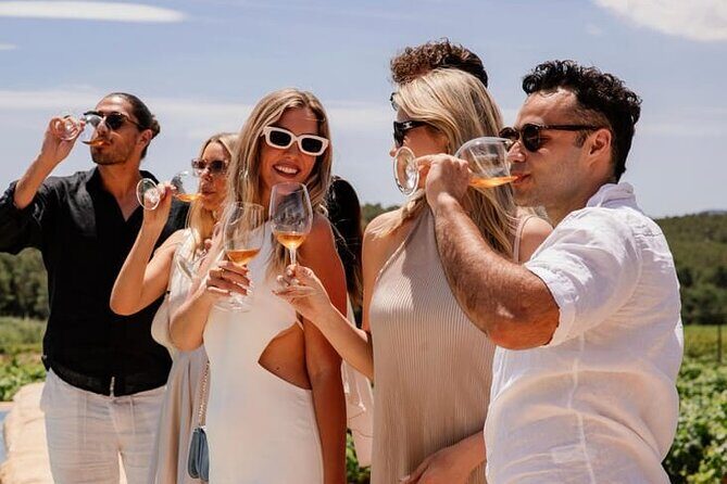 Barcelona: Priorat 3 Wine Tastings + 3-Course Gourmet Lunch - Who Should Consider This Tour?