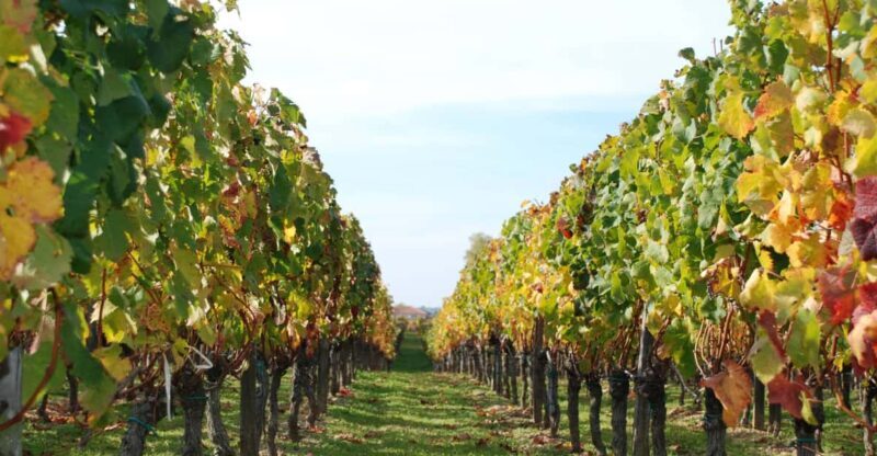 Barcelona: Private E-Bike Tour and Wine Tasting - Practical Details and Value