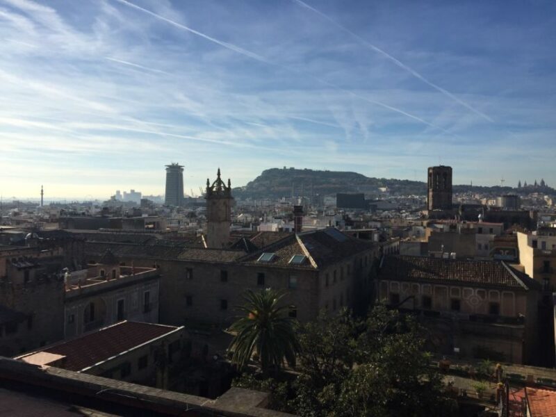 Barcelona: Private Gothic Quarter & Eixample Highlights Tour - A Deep Dive into the Barcelona Gothic & Eixample Tour