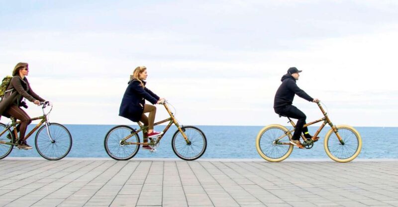 Barcelona: Private Highlights Tour by Bamboo Bicycle - Is This Tour Right for You?