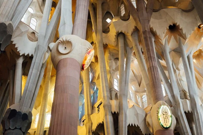 Barcelona: Sagrada Familia Guided Private Tour - A Closer Look at the Tour