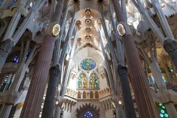 Barcelona Sagrada Familia Skip The Line Insider Guided Tour - What Visitors Are Saying