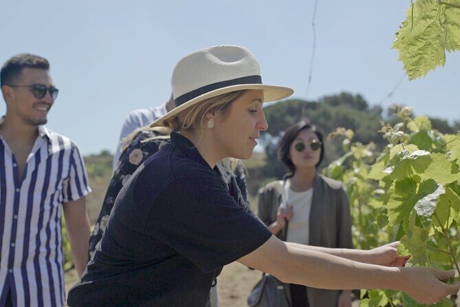 Barcelona Sailing Adventure and Small Group Winery Tasting Tour - Final Thoughts: Is This Tour Right for You?