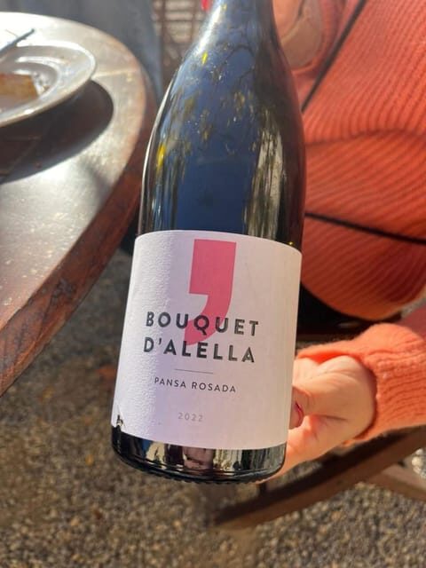 Barcelona: Sailing and Alella Winery Tour with Wine Tasting - The Transition to Alella: A Journey into Wine