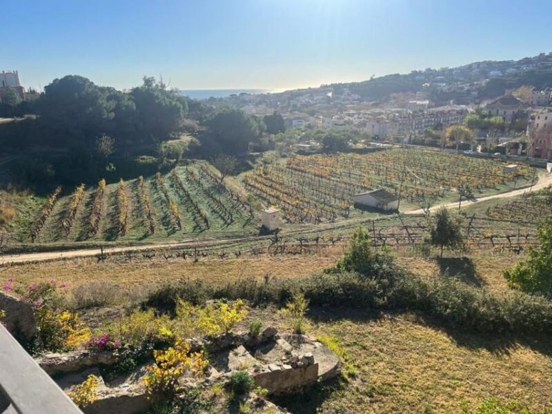 Barcelona: Sailing and Alella Winery Tour with Wine Tasting - Returning to Barcelona