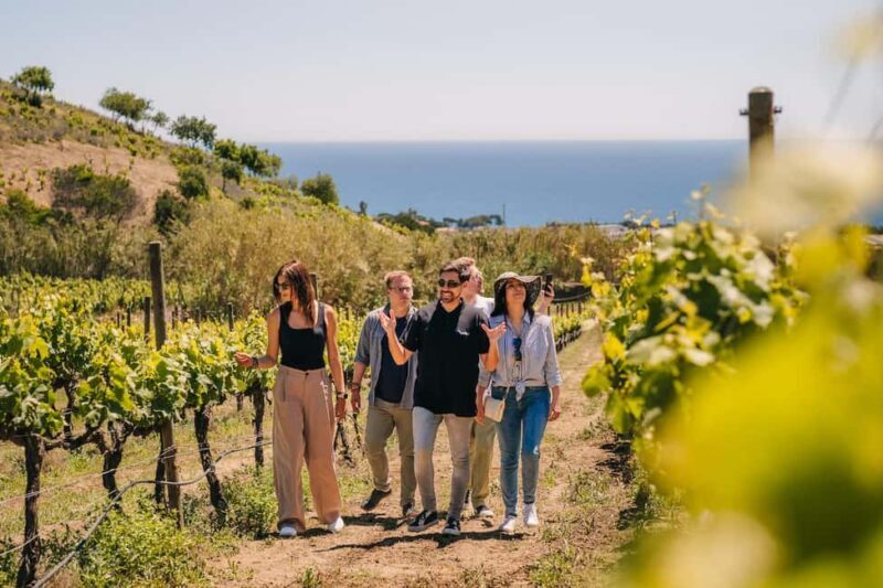 Barcelona: Sailing Cruise & Vineyard Tour with Wine Tasting - Things to Keep in Mind