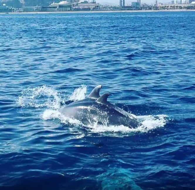 Barcelona: Sailing tours with open bar and snacks - A Friendly Look at Barcelona’s Sailing Tour with Open Bar and Snacks