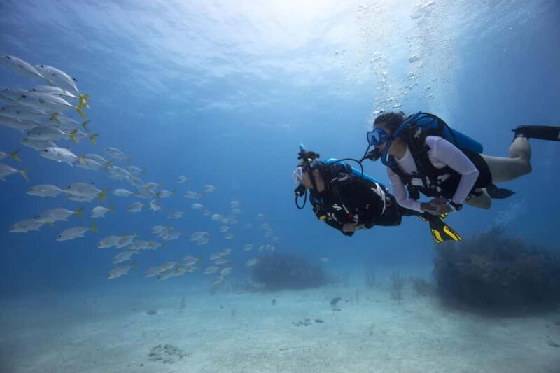 BARCELONA: SCUBA DIVING INITIATION - Dive in and experience underwater adventures - 2 hours - Key Points