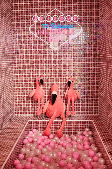 Barcelona: Sensory Dinner Signature Cocktail and Live Show - The Bottom Line