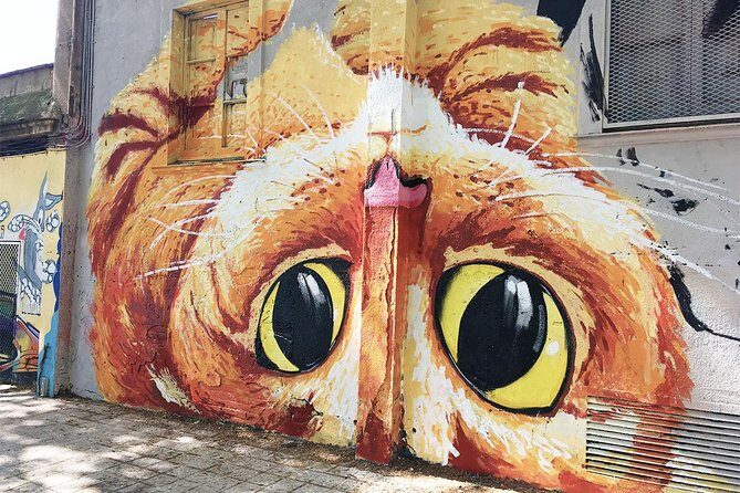 Barcelona Street Art and Graffitti Bicycle Tour - What’s Included and Whats Not