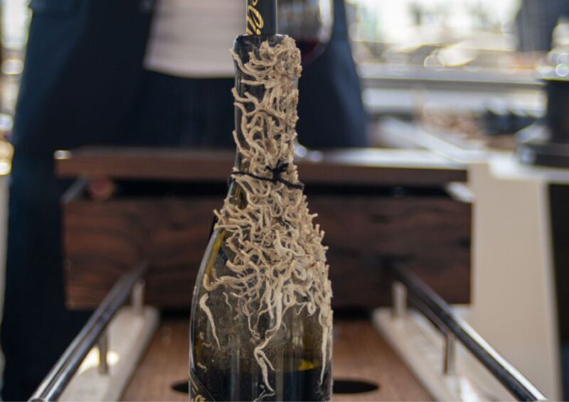 Barcelona: Submarine Winery Wine Tasting and Sailing Tour - Practical Tips for Booking & Participation