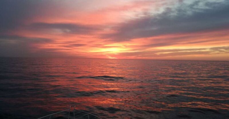 Barcelona Sunrise Sailing. The Best Start to Your Day - Key Points
