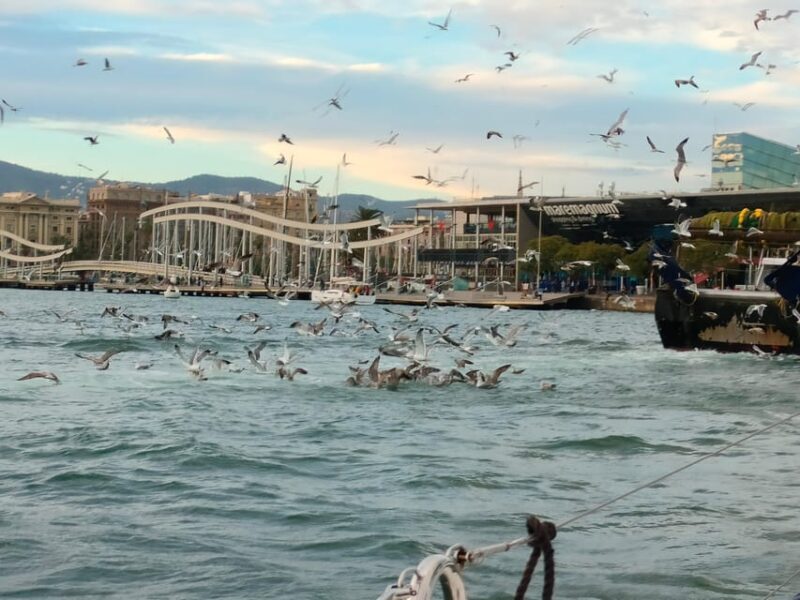 Barcelona: Sunset Cruise with Snacks and Drinks - What the Experience Means for You