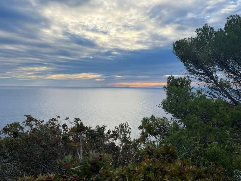 Barcelona: Tossa de Mar & Costa Brava very small group - Source