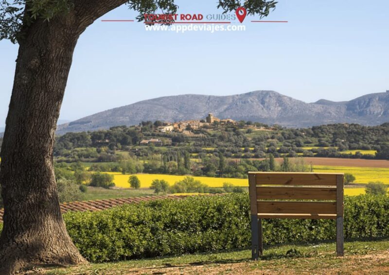 Barcelona: Tour Private Besalu, Dalí & Wine Tasting - Frequently Asked Questions