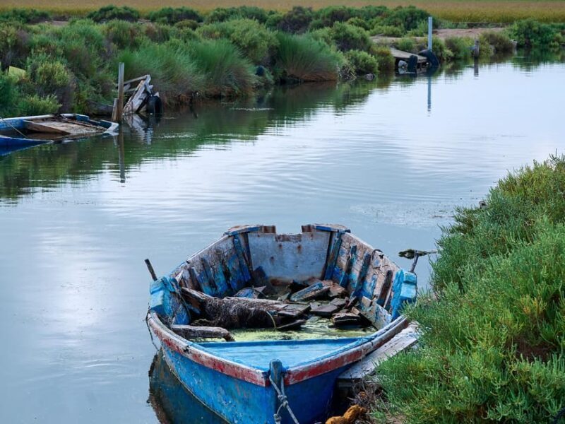 Barcelona: Tuna Baths in the Ebro Delta Route and Olive Tree Tour - Key Points