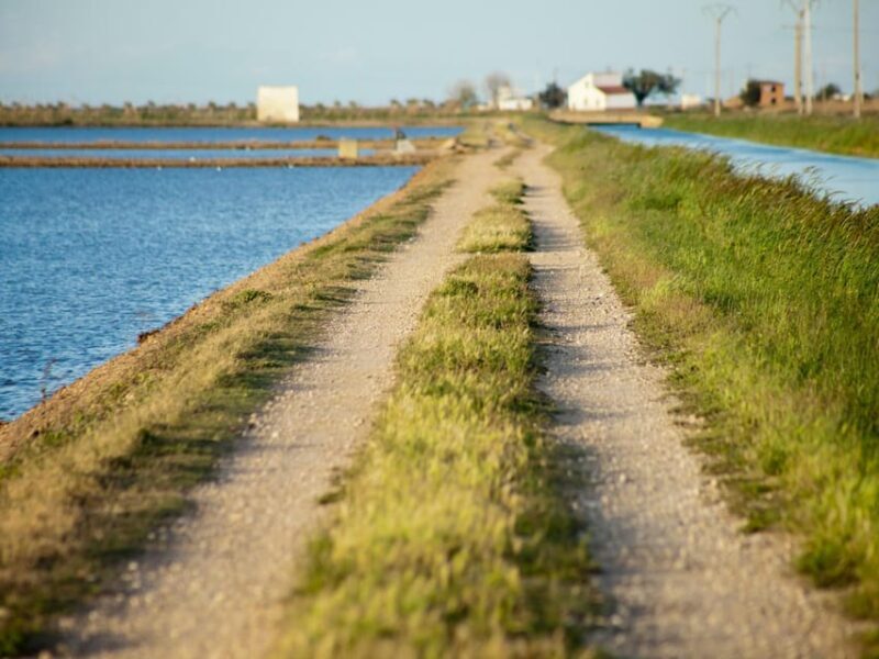 Barcelona: Tuna Baths in the Ebro Delta Route and Olive Tree Tour - FAQ