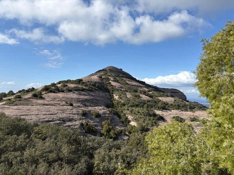 Barcelona Walking Tour in Citadel Park & Expo 1888 - Key Points