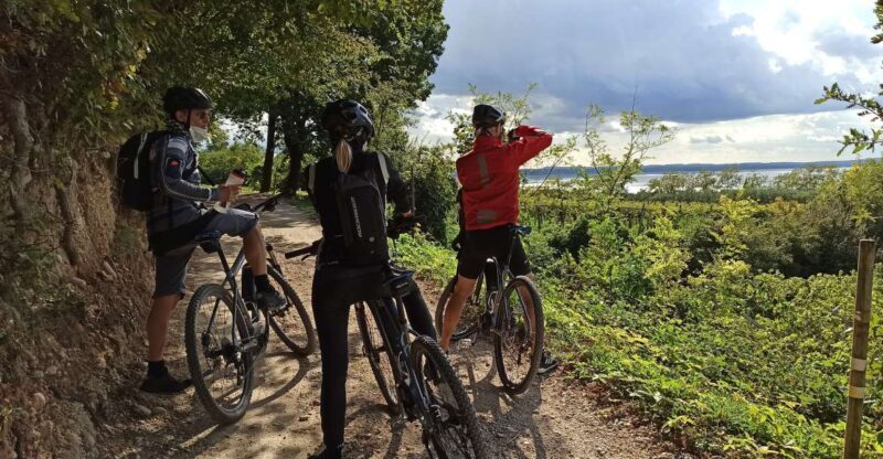 Bardolino: e-bike tour and wine tasting on the hills - Discovering the Inland of Bardolino