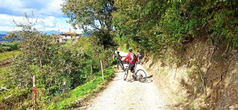 Bardolino: e-bike tour and wine tasting on the hills - The Winery Experience: A Tasty Finish
