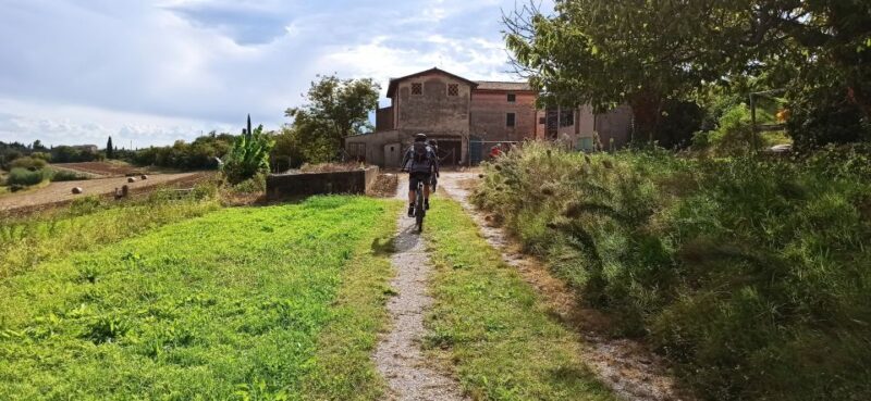 Bardolino: e-bike tour and wine tasting on the hills - Practical Details and What to Bring