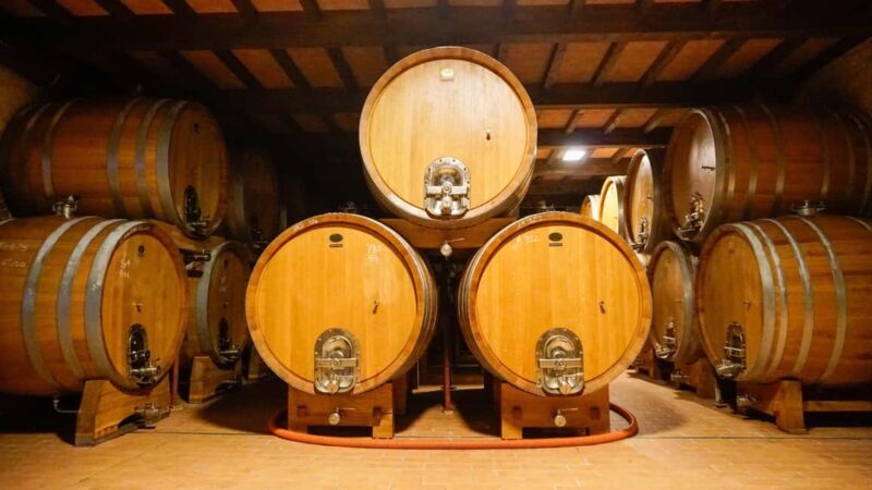 Bardolino: Tour and Tasting at Cantina Lenotti - Key Points