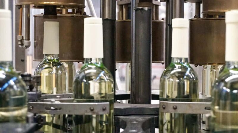 Bardolino: Tour and Tasting at Cantina Lenotti - Exploring the Lenotti Winery: What to Expect