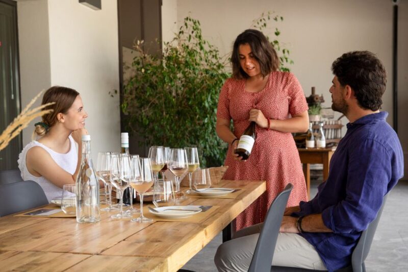 Bardolino: Vineyard Tour with Wine and Food Tasting - The Experience in Detail