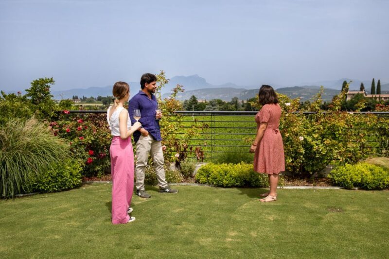 Bardolino: Vineyard Tour with Wine and Food Tasting - Who Should Consider This Tour?