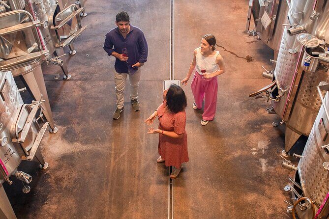 Bardolino Wine Experience - An In-Depth Look at the Bardolino Wine Experience