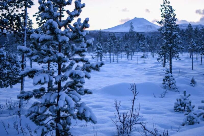 Bardufoss: Snowshoe hike to Norway's National Waterfalls - Key Points