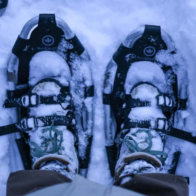 Bardufoss: Snowshoe hike to Norway's National Waterfalls - What to Expect from the Snowshoe Adventure